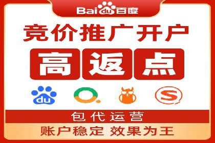 深入剖析SEM公司成功案例：数据驱动的广告策略